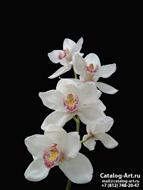 картинки для фотопечати на потолках, идеи, фото, образцы - Потолки с фотопечатью - Белые орхидеи 20